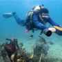 Dive Deep, Breathe Easy: A Beginner’s Guide to Scuba Breathing by Poseidon Tech